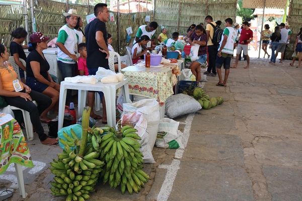 Município de N. S. dos Remédios realiza II Feira da Agricultura Familiar  - Imagem 19