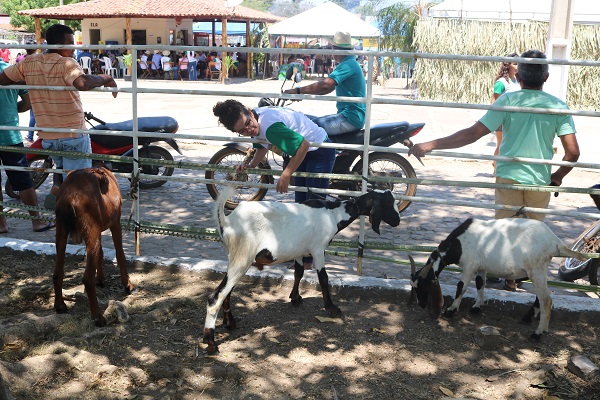 Município de N. S. dos Remédios realiza II Feira da Agricultura Familiar  - Imagem 28