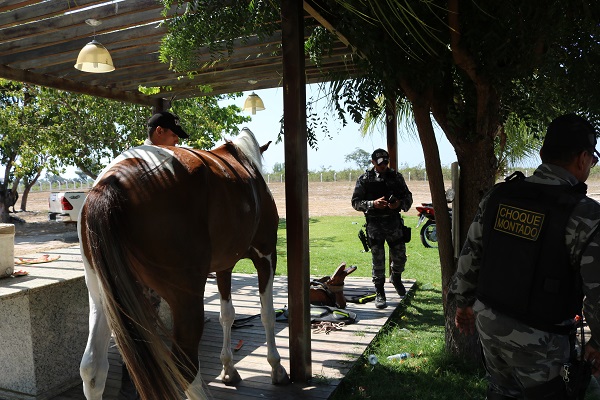 Alunos do Pelotão Mirim tiveram oficina com Esquadrão de Polícia Montada  - Imagem 18