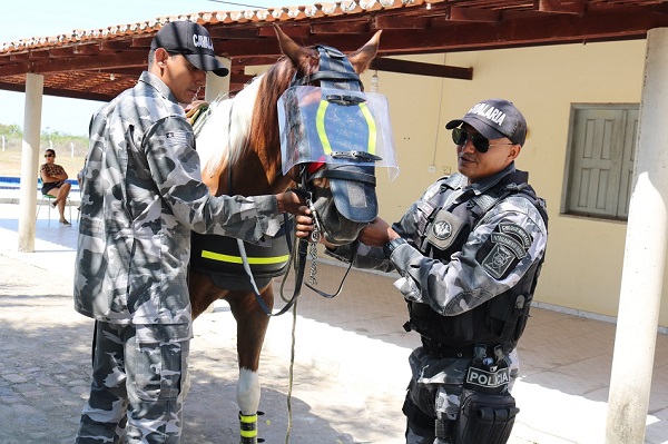 Alunos do Pelotão Mirim tiveram oficina com Esquadrão de Polícia Montada  - Imagem 23