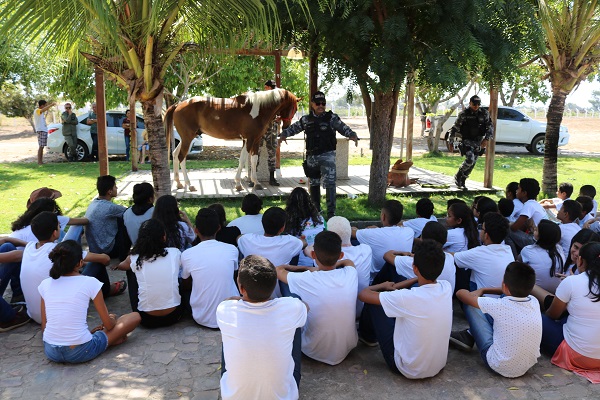 Alunos do Pelotão Mirim tiveram oficina com Esquadrão de Polícia Montada  - Imagem 16