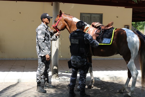 Alunos do Pelotão Mirim tiveram oficina com Esquadrão de Polícia Montada  - Imagem 21