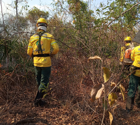 Brigada municipal combate incêndios em toda região de Uruçuí
