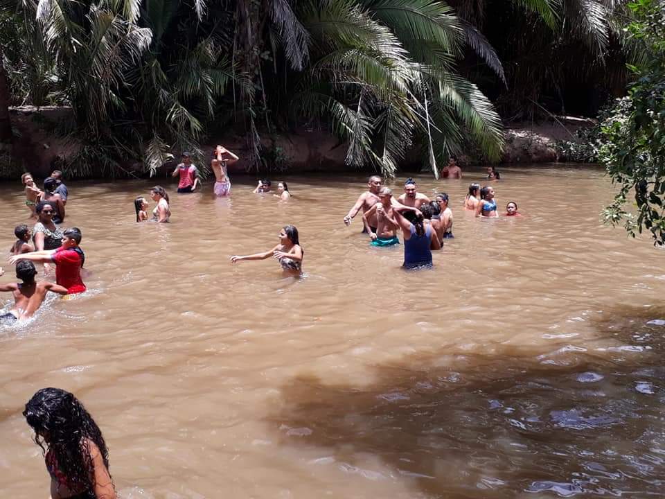Operação resgate concluída com sucesso. 36° Encontro Ecológico  - Imagem 43