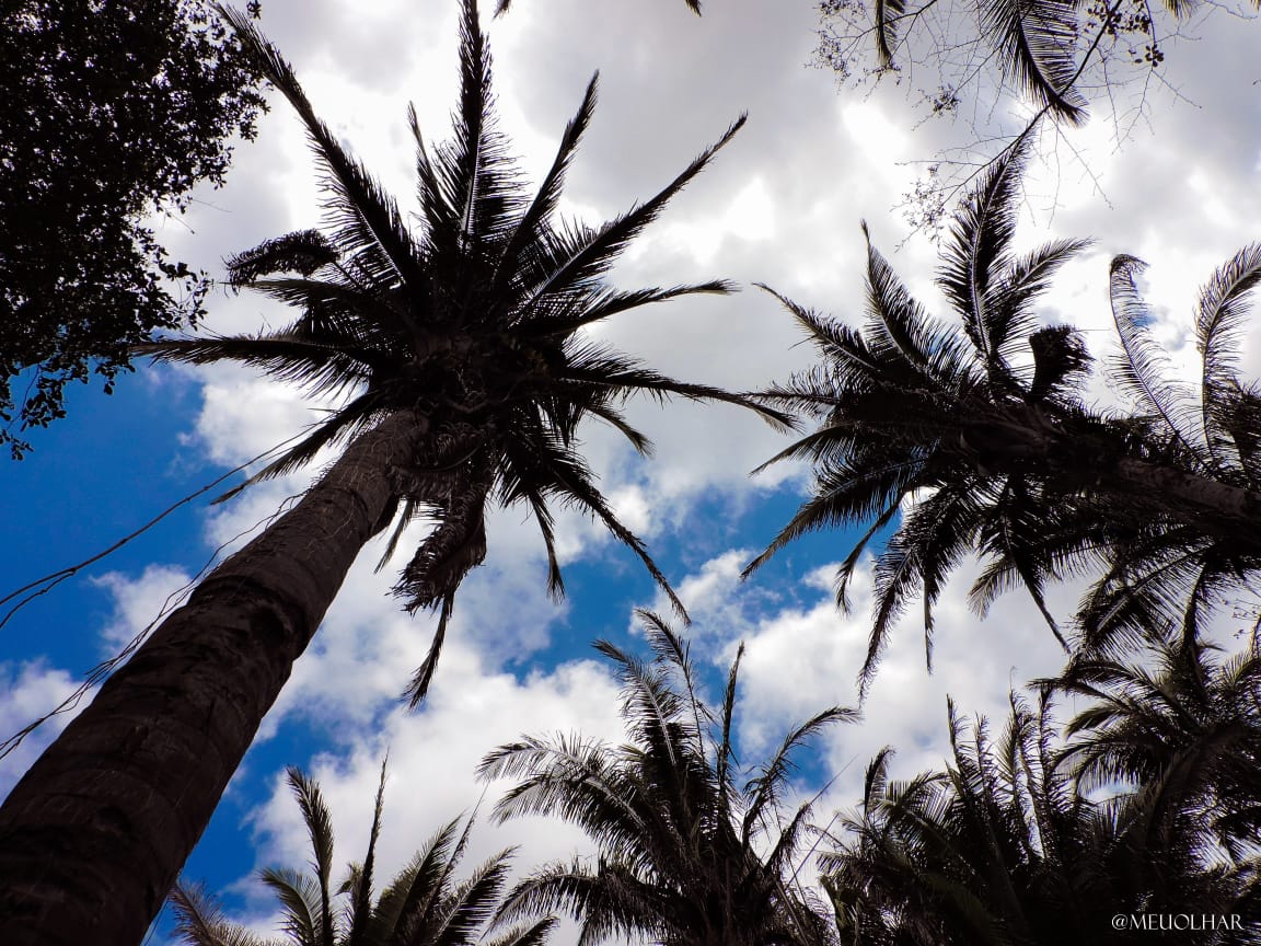 Venha viver emoções e encher os olhos com as belezas naturais - Imagem 3