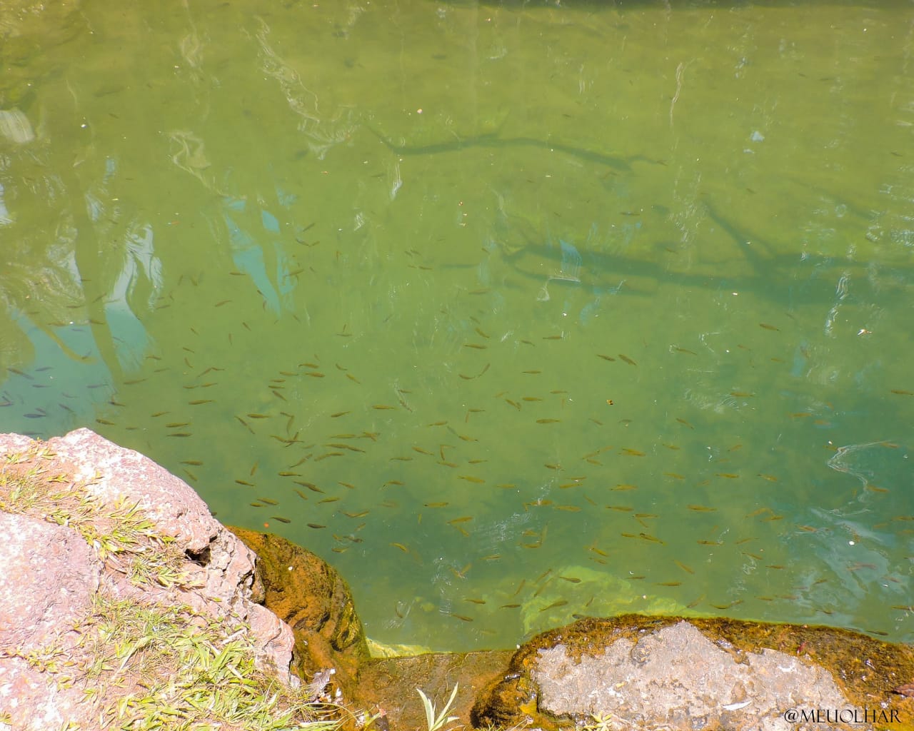 Venha viver emoções e encher os olhos com as belezas naturais - Imagem 12