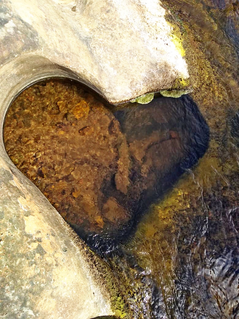 Venha viver emoções e encher os olhos com as belezas naturais - Imagem 5