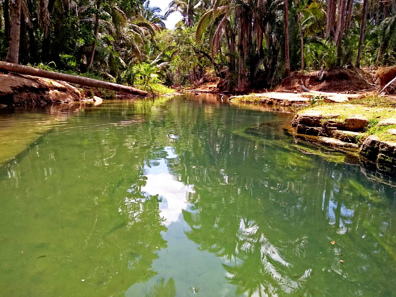 Venha viver emoções e encher os olhos com as belezas naturais - Imagem 2