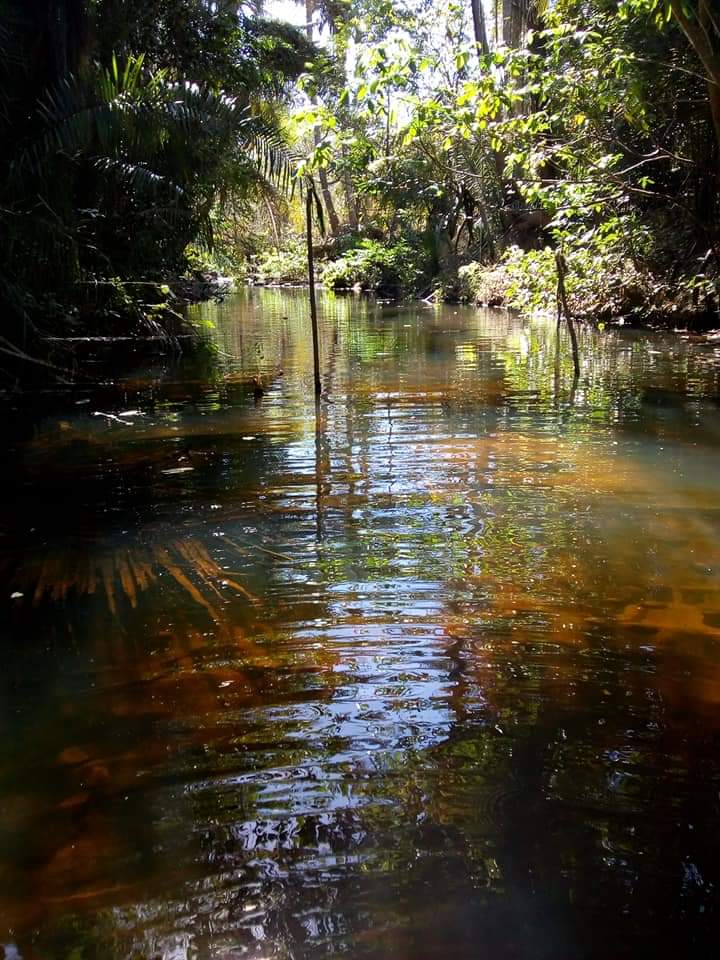 Venha viver emoções e encher os olhos com as belezas naturais - Imagem 39
