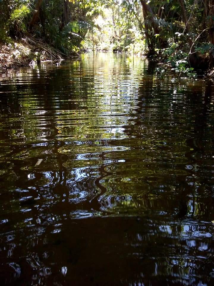 Venha viver emoções e encher os olhos com as belezas naturais - Imagem 38