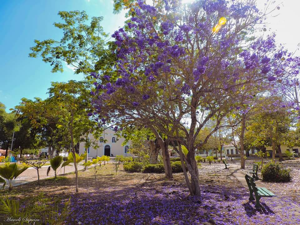 Venha viver emoções e encher os olhos com as belezas naturais - Imagem 10