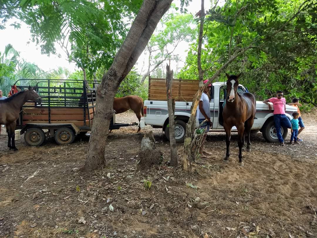 10 mil reais em prêmios para os campeões da maior Corrida de Cavalos da região  - Imagem 42