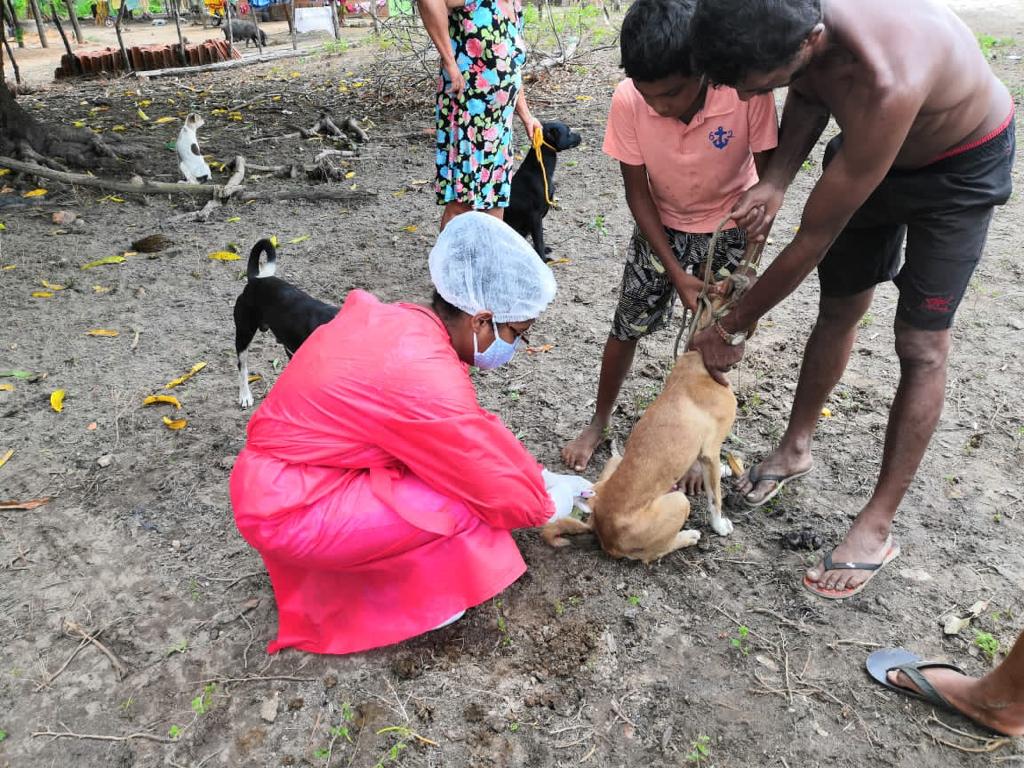 Monsenhor Gil cuida das pessoas e de seus animais também - Imagem 3