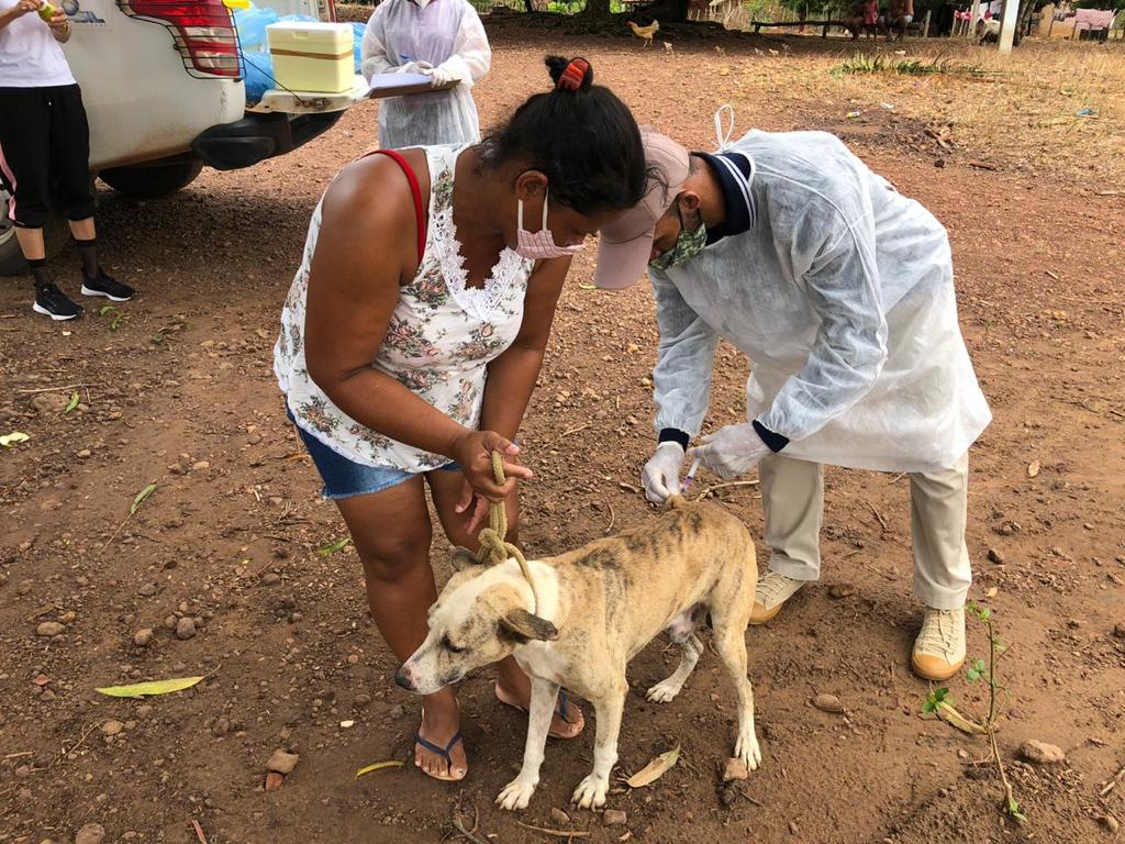 Monsenhor Gil cuida das pessoas e de seus animais também - Imagem 10
