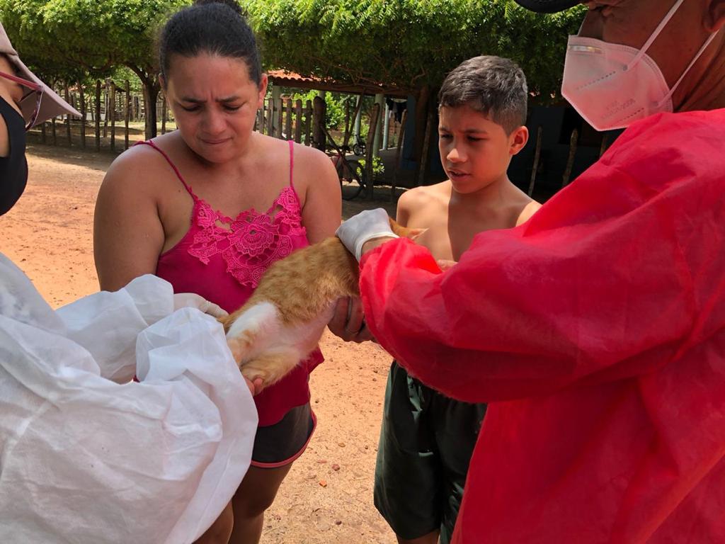 Monsenhor Gil cuida das pessoas e de seus animais também - Imagem 8