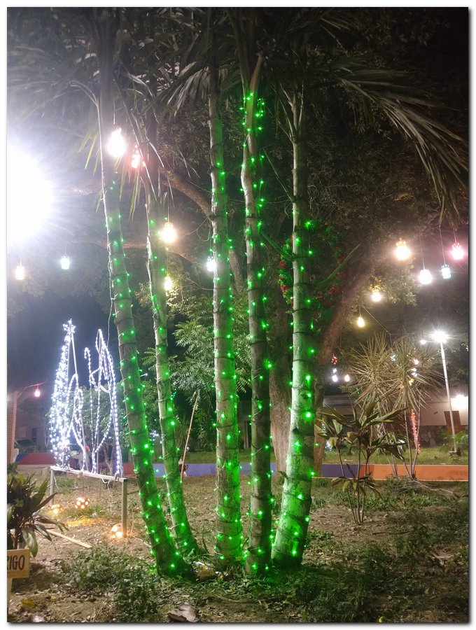 Projeto “Um Sonho de Natal”-Inhuma - Imagem 65