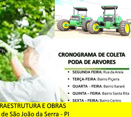 Prefeitura divulga cronograma para poda de árvores