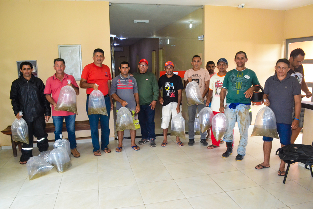 Prefeitura de Joaquim Pires entrega mais de 15 mil alevinos para piscicultores. - Imagem 1