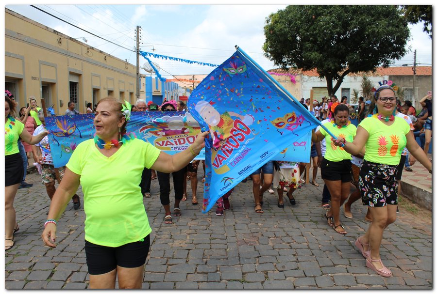 Prefeitura de Inhuma realiza carnaval dos Idosos - Imagem 16