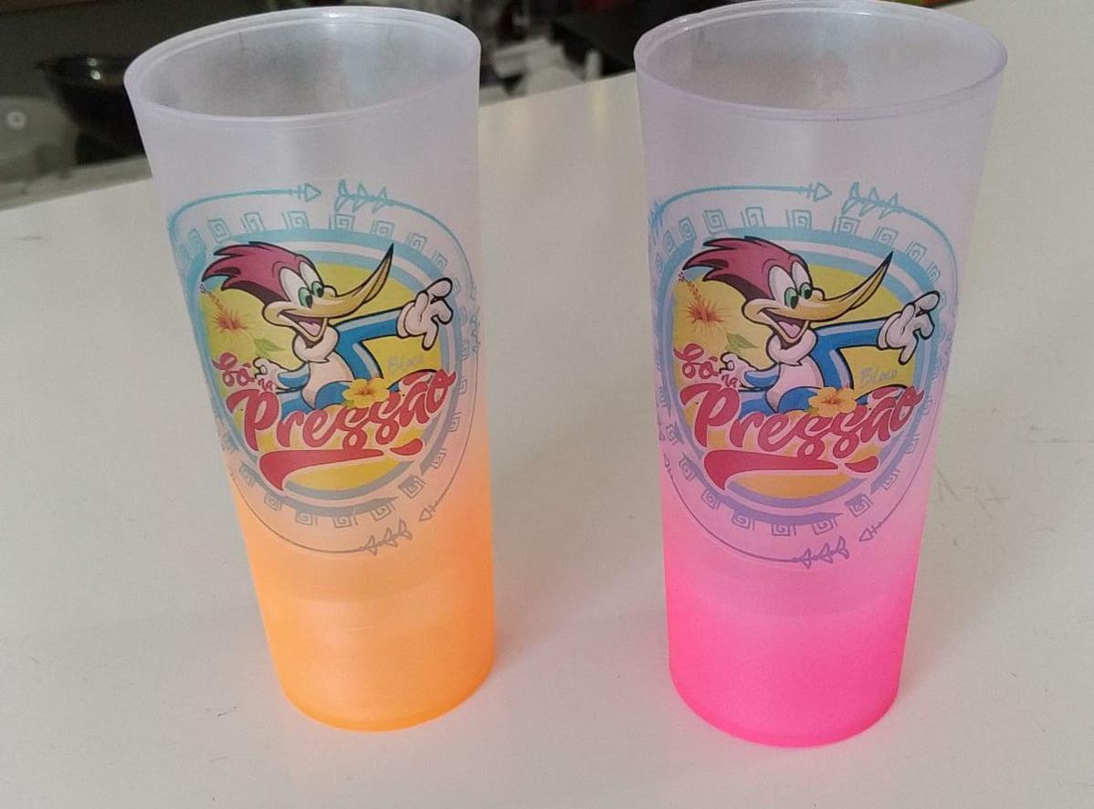 Monsenhor Gil se prepara para realizar o maior e melhor Corso da região do Médio Parnaíba - Imagem 15