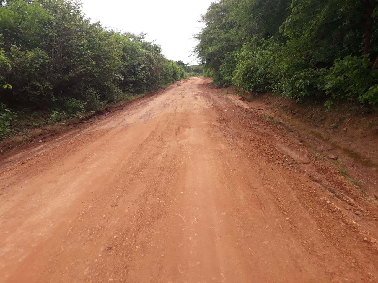 Prefeitura continua trabalhando no melhoramento das estradas vicinais - Imagem 6