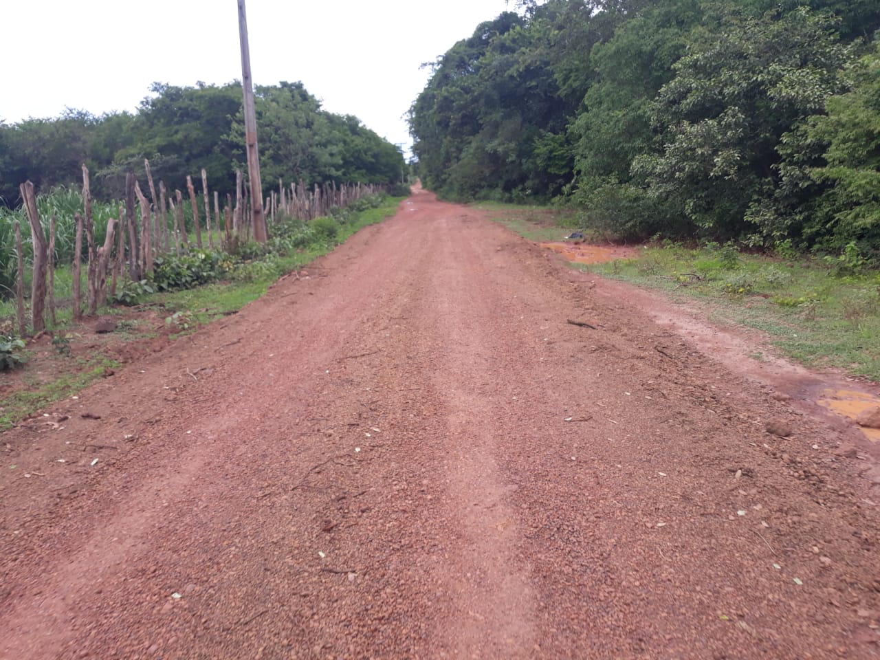 Prefeitura continua trabalhando no melhoramento das estradas vicinais - Imagem 2