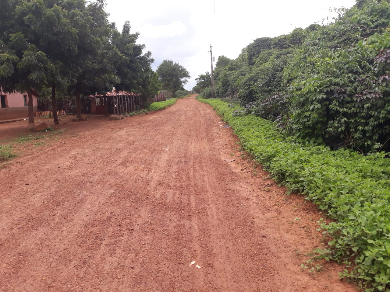 Prefeitura continua trabalhando no melhoramento das estradas vicinais - Imagem 11