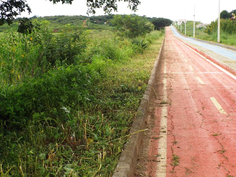 prefeitura continua recuperando calçamentos danificados pela chuvas  - Imagem 8