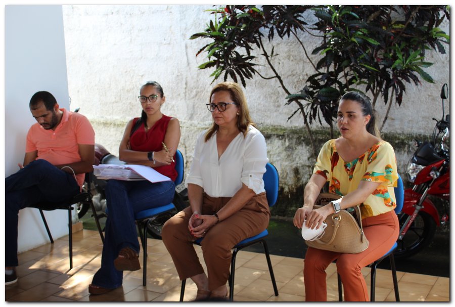 Secretária de Saúde se reúne com profissionais da saúde - Imagem 1