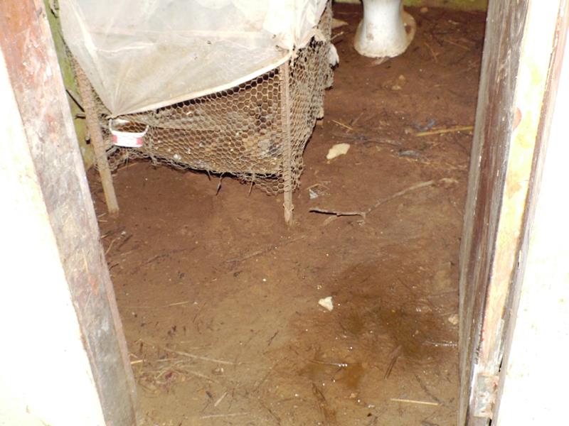 Município faz entrega de cestas de alimentos, roupas, e colchões as famílias dos Bairros Barragem e Cristo Rei  - Imagem 18