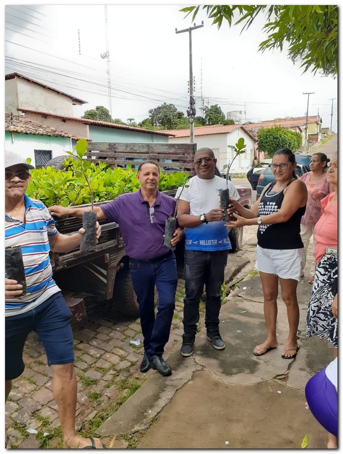 Secretaria de Agricultura de Inhuma distribuiu muda de Cajueiro  - Imagem 4