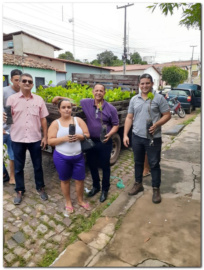 Secretaria de Agricultura de Inhuma distribuiu muda de Cajueiro  - Imagem 5