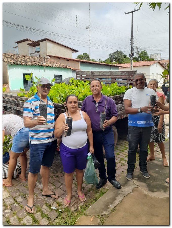 Secretaria de Agricultura de Inhuma distribuiu muda de Cajueiro  - Imagem 1