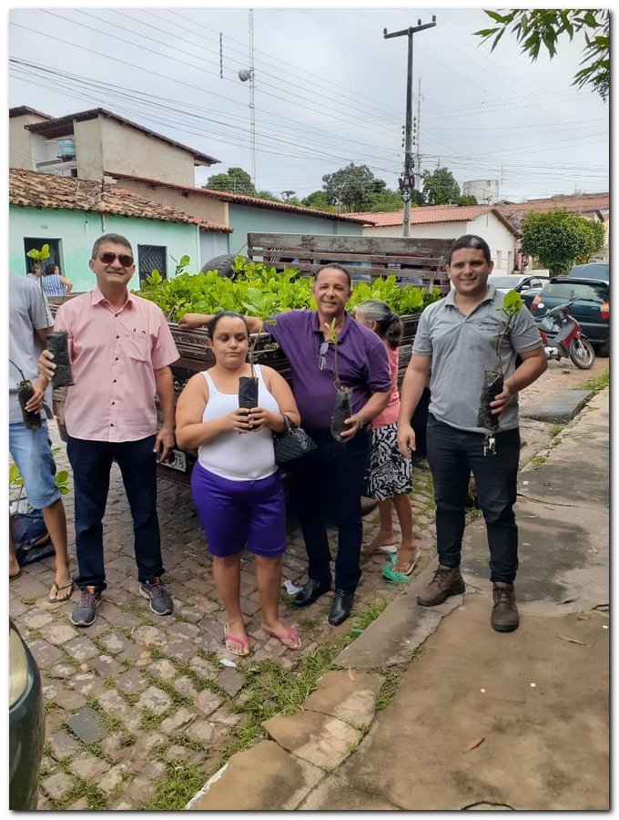 Secretaria de Agricultura de Inhuma distribuiu muda de Cajueiro  - Imagem 3