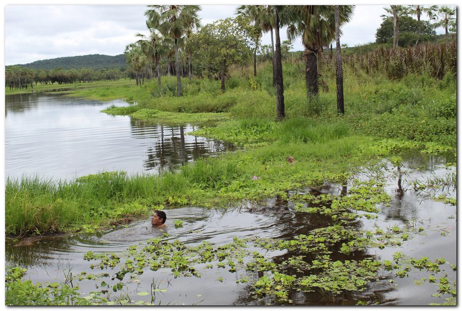 Mutirão realiza limpeza na Lagoa dos Banguês  - Imagem 2