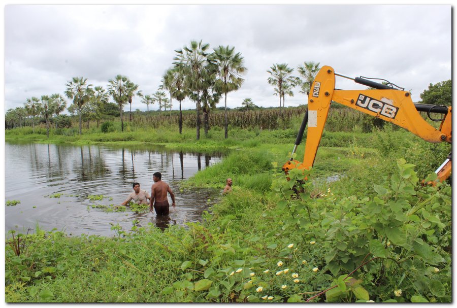Mutirão realiza limpeza na Lagoa dos Banguês  - Imagem 4