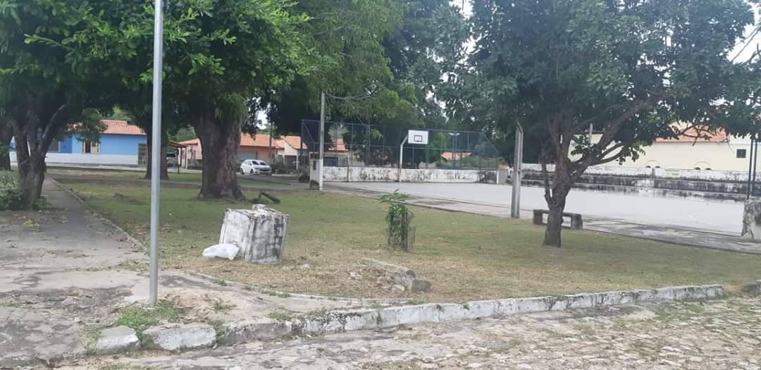 Em tempo de Pandemia, limpeza pessoal e coletiva é cada vez mais necessário - Imagem 4