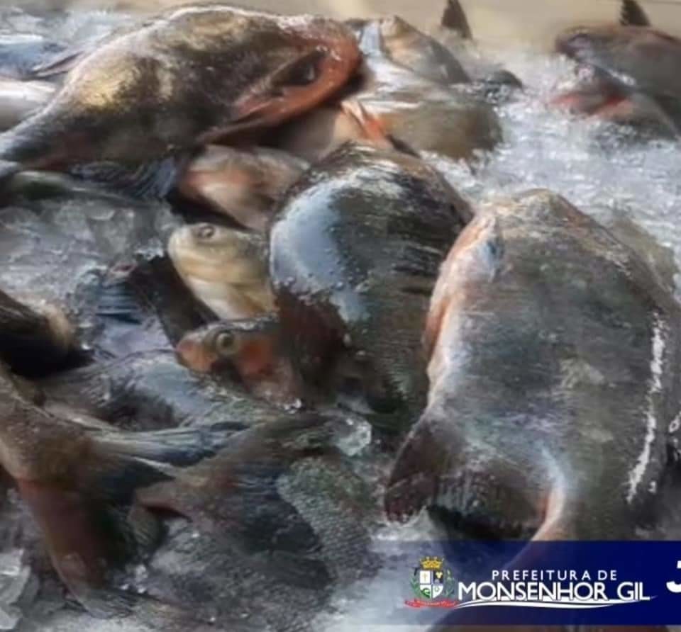 Monsenhor Gil no combate ao Covid-19 - Prefeito João Luiz comanda ações