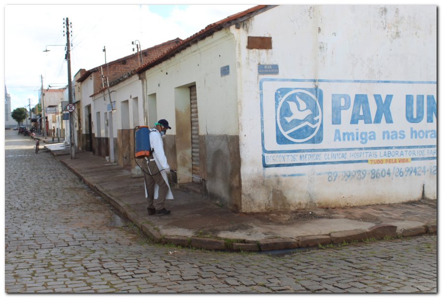 Agentes de Endemias realizam ações de higienização em Inhuma - Imagem 42