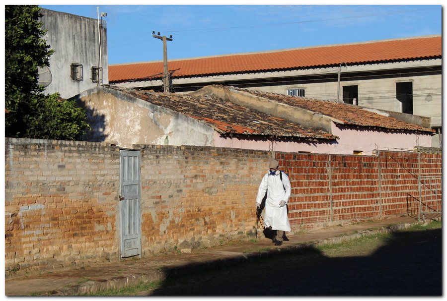 Agentes de Endemias realizam ações de higienização em Inhuma - Imagem 20