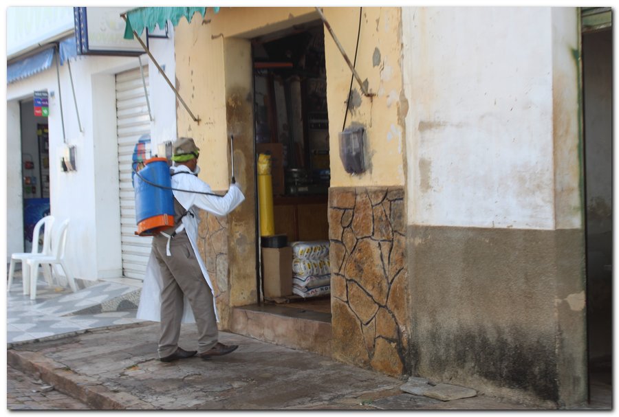 Agentes de Endemias realizam ações de higienização em Inhuma - Imagem 39