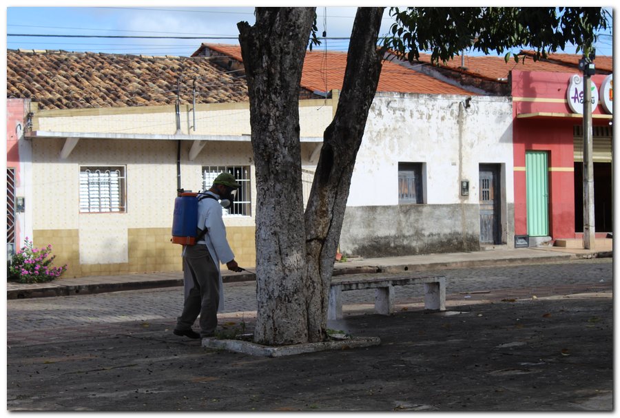Agentes de Endemias realizam ações de higienização em Inhuma - Imagem 49