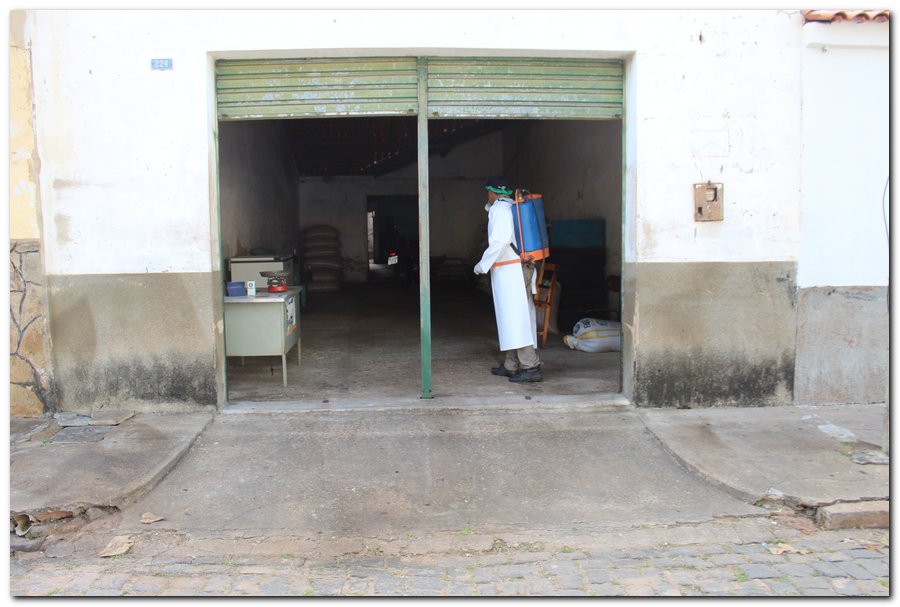 Agentes de Endemias realizam ações de higienização em Inhuma - Imagem 41