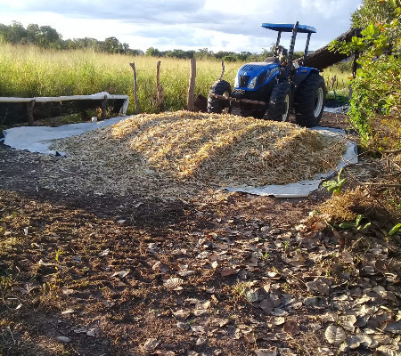 PMU irá produzir cerca de 700 toneladas de silagem para agricultura familiiar