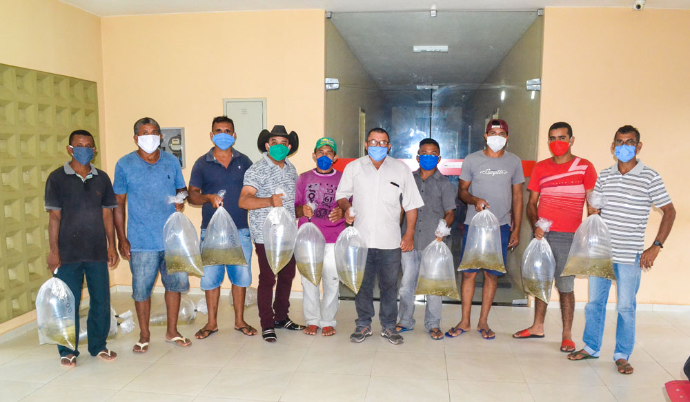 Prefeitura de Joaquim Pires entrega a segunda etapa da entrega de alevinos  - Imagem 2