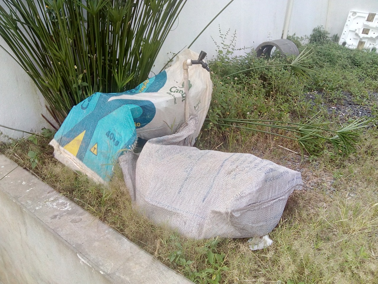 Ladrões  devolvem produtos de furto em Ubs de Monsenhor Gil - Imagem 2