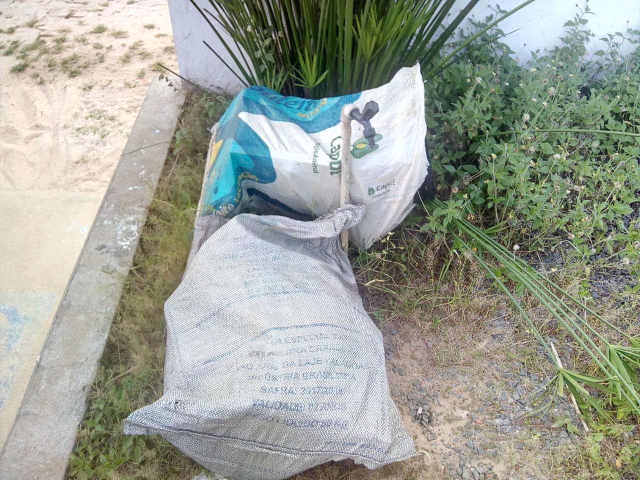 Ladrões  devolvem produtos de furto em Ubs de Monsenhor Gil - Imagem 3