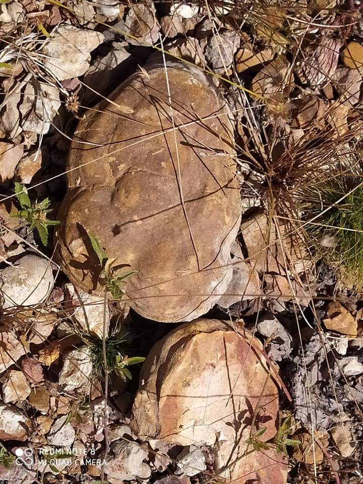 Monsenhor Gil, um município de encantos mil - Imagem 18