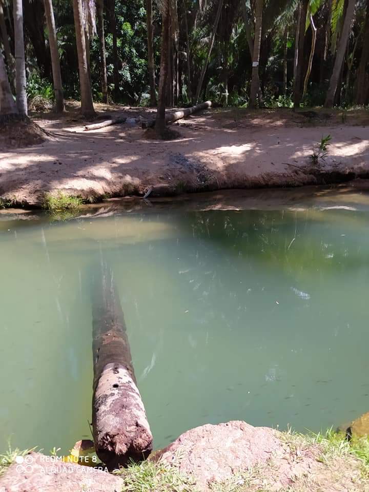 Monsenhor Gil, um município de encantos mil - Imagem 30