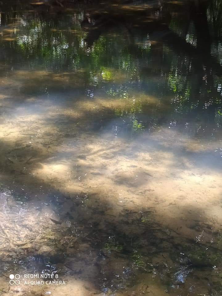 Monsenhor Gil, um município de encantos mil - Imagem 32